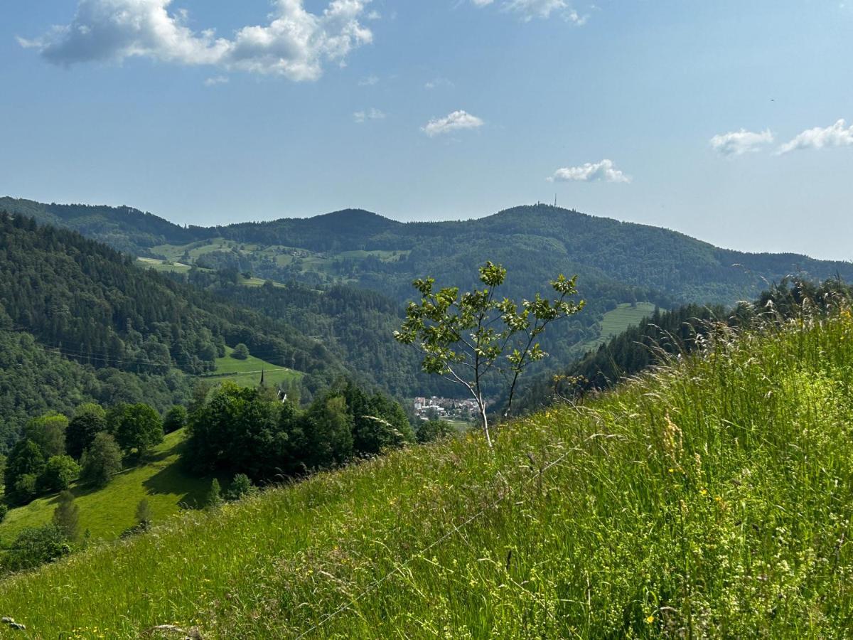 Cella Apartments **** Zell im Wiesenthal Eksteriør billede